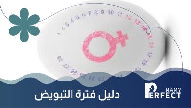 دليل فترة التبويض