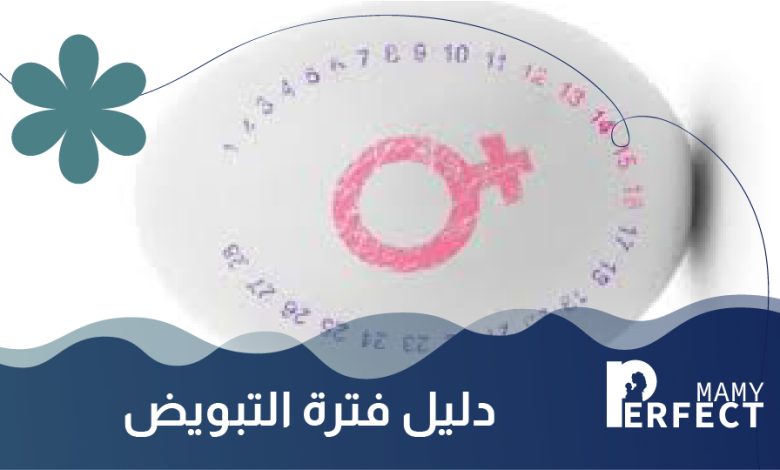 دليل فترة التبويض