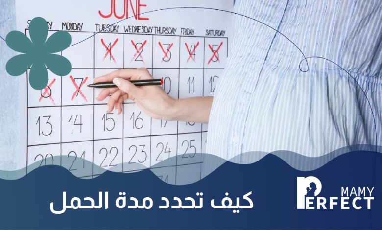 مدة الحمل