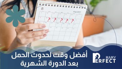 أفضل وقت لحدوث الحمل بعد الدورة الشهرية