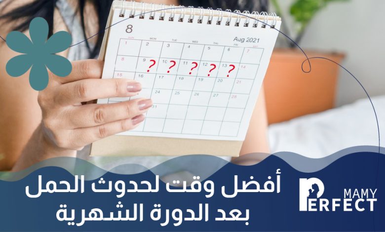 أفضل وقت لحدوث الحمل بعد الدورة الشهرية
