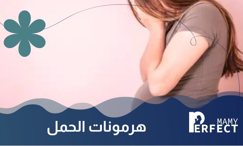 هرمونات الحمل