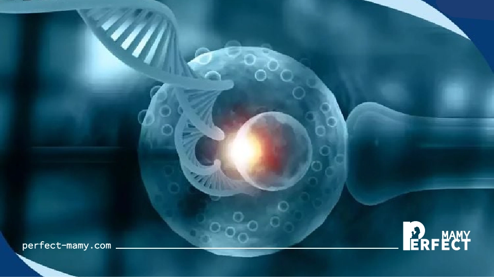 مخاطر عملية الحقن المجهري 