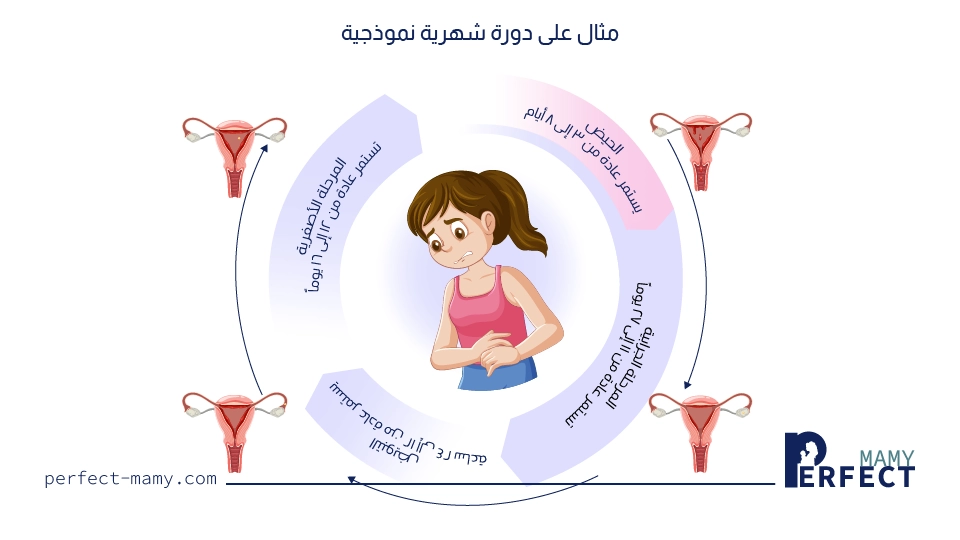 حساب موعد الولادة المتوقع 