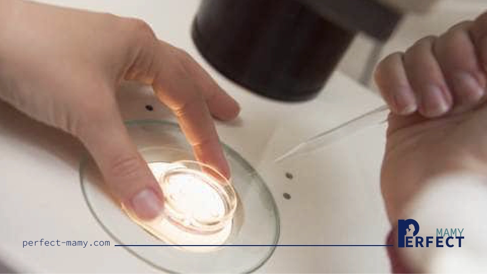 عملية التلقيح الصناعي