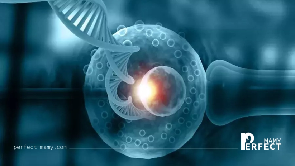 عملية الحقن المجهري 