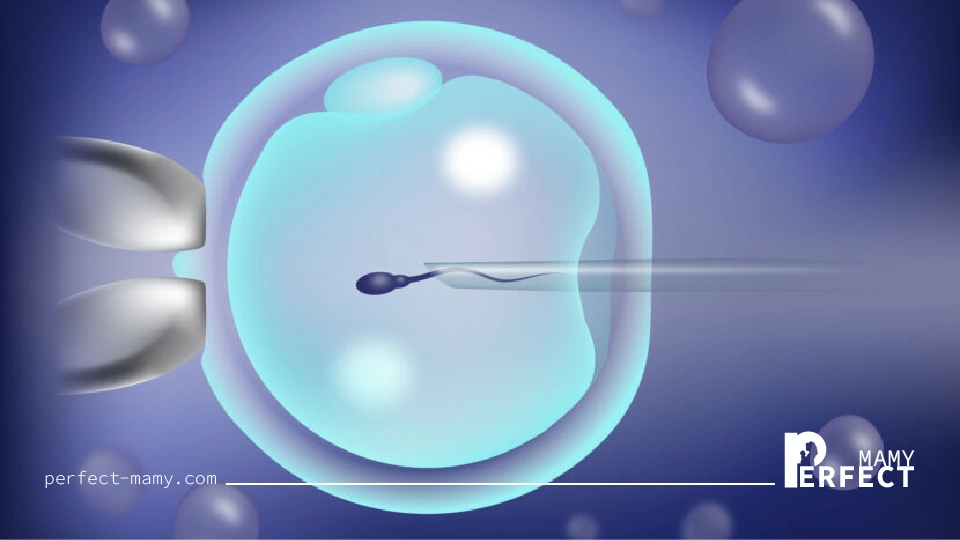 ابرز عوامل نجاح الحقن المجهري